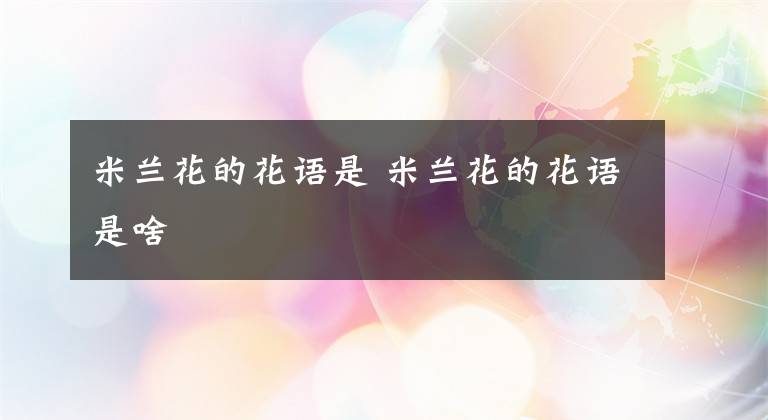 米蘭花的花語(yǔ)是 米蘭花的花語(yǔ)是啥