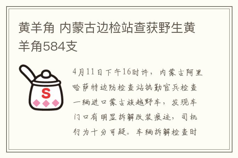 黃羊角 內蒙古邊檢站查獲野生黃羊角584支