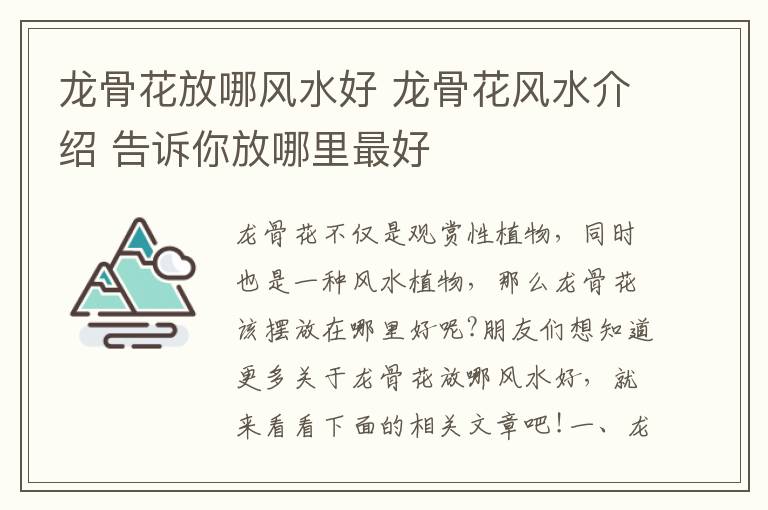 龍骨花放哪風(fēng)水好 龍骨花風(fēng)水介紹 告訴你放哪里最好