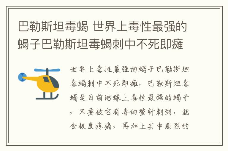 巴勒斯坦毒蝎 世界上毒性最強(qiáng)的蝎子巴勒斯坦毒蝎刺中不死即癱