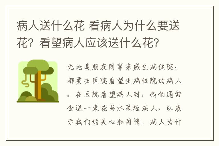 病人送什么花 看病人為什么要送花？看望病人應(yīng)該送什么花？