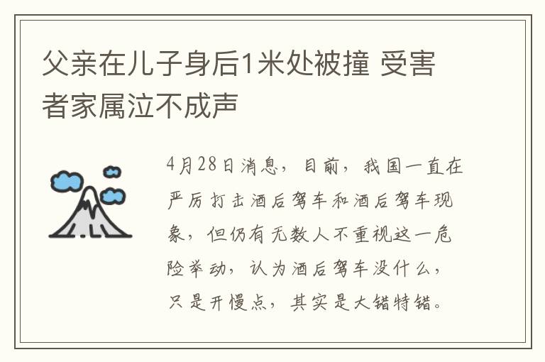 父親在兒子身后1米處被撞 受害者家屬泣不成聲