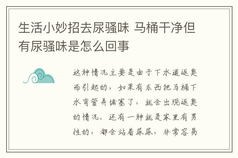 生活小妙招去尿騷味 馬桶干凈但有尿騷味是怎么回事