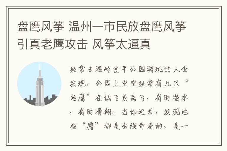 盤鷹風箏 溫州一市民放盤鷹風箏引真老鷹攻擊 風箏太逼真