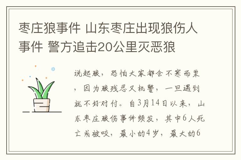 棗莊狼事件 山東棗莊出現(xiàn)狼傷人事件 警方追擊20公里滅惡狼