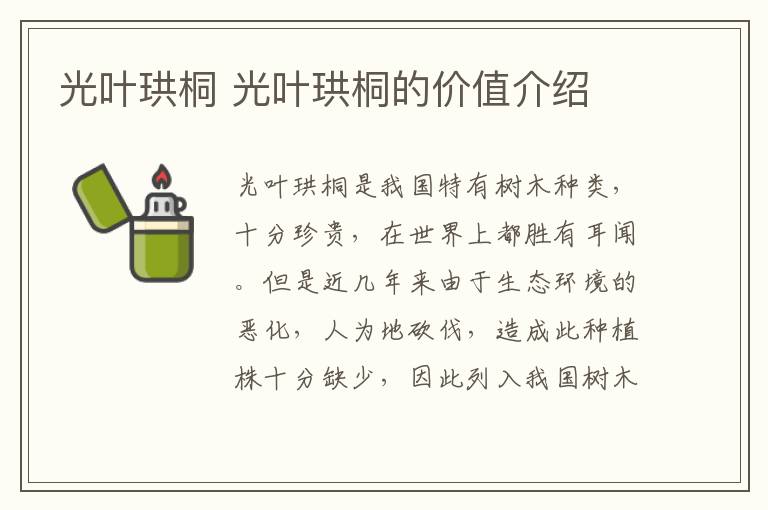 光葉珙桐 光葉珙桐的價(jià)值介紹