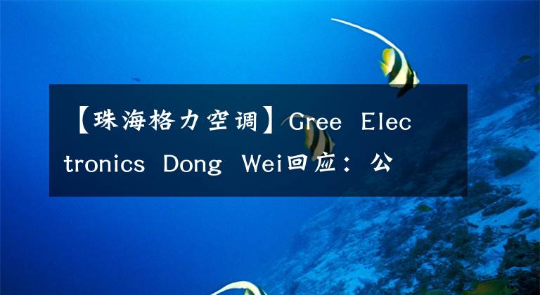 【珠海格力空調】Gree  Electronics  Dong  Wei回應：公司推出了專門為新能源汽車開發(fā)的純電動熱泵空調。