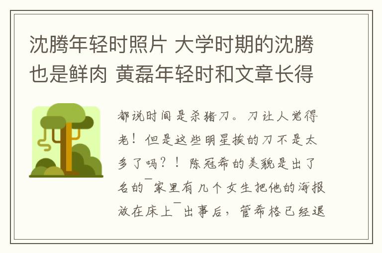 沈騰年輕時照片 大學(xué)時期的沈騰也是鮮肉 黃磊年輕時和文章長得像