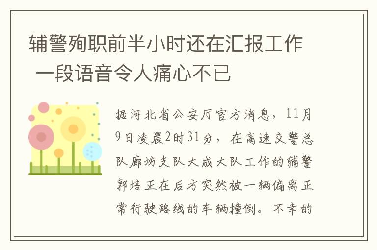 輔警殉職前半小時還在匯報工作 一段語音令人痛心不已