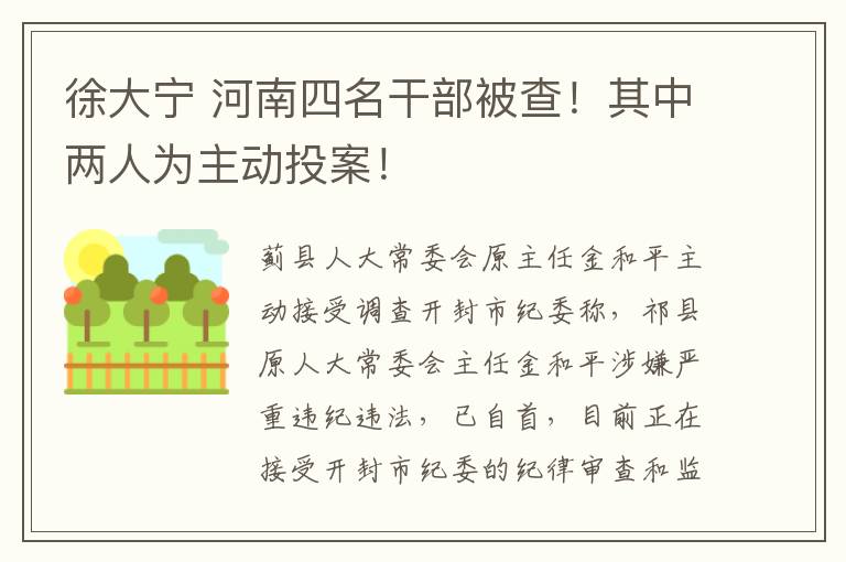 徐大寧 河南四名干部被查！其中兩人為主動投案！