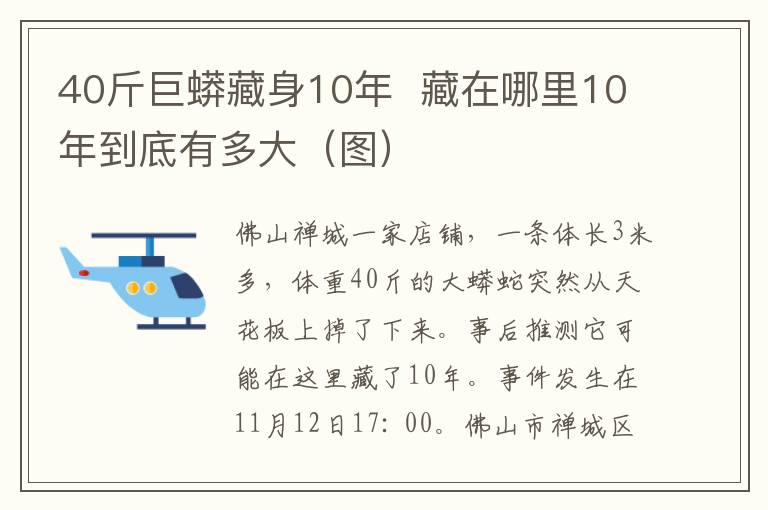 40斤巨蟒藏身10年  藏在哪里10年到底有多大（圖）