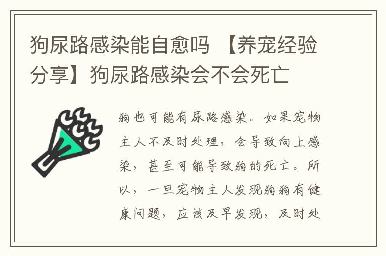 狗尿路感染能自愈嗎 【養(yǎng)寵經(jīng)驗分享】狗尿路感染會不會死亡