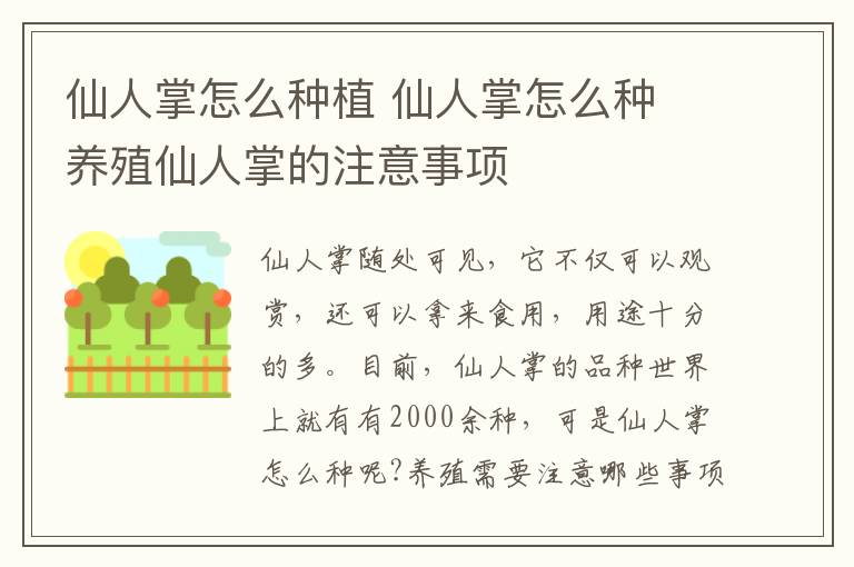 仙人掌怎么種植 仙人掌怎么種 養(yǎng)殖仙人掌的注意事項(xiàng)