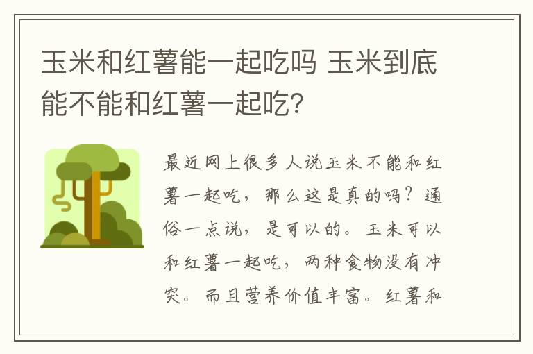 玉米和紅薯能一起吃嗎 玉米到底能不能和紅薯一起吃？