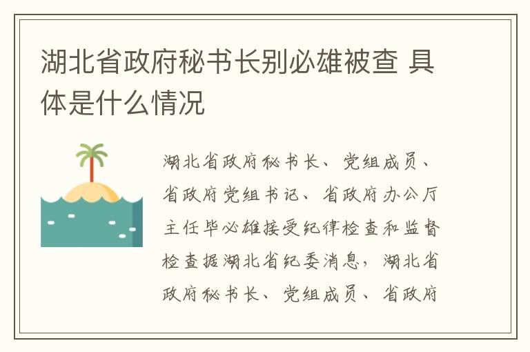 湖北省政府秘書長別必雄被查 具體是什么情況