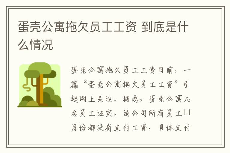 蛋殼公寓拖欠員工工資 到底是什么情況