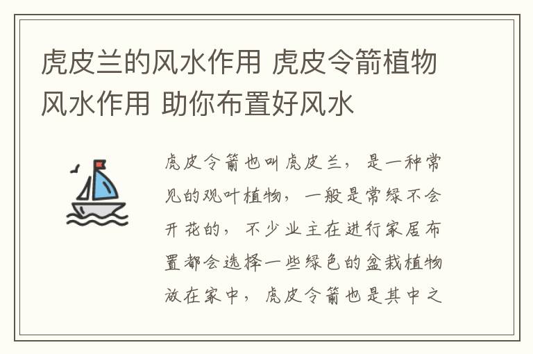 虎皮蘭的風水作用 虎皮令箭植物風水作用 助你布置好風水