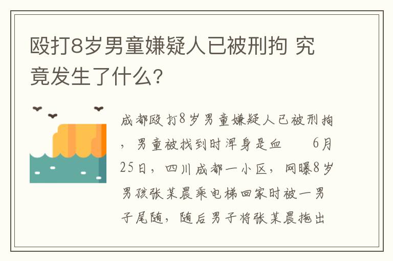 毆打8歲男童嫌疑人已被刑拘 究竟發(fā)生了什么?