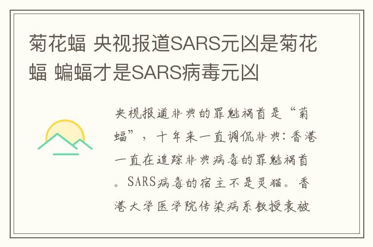 菊花蝠 央視報(bào)道SARS元兇是菊花蝠 蝙蝠才是SARS病毒元兇