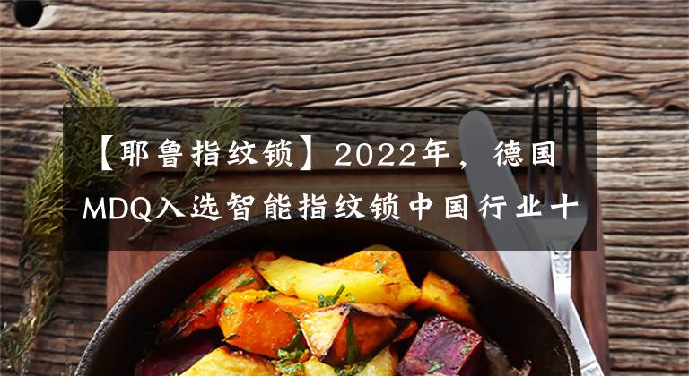 【耶魯指紋鎖】2022年，德國MDQ入選智能指紋鎖中國行業(yè)十大品牌稱號