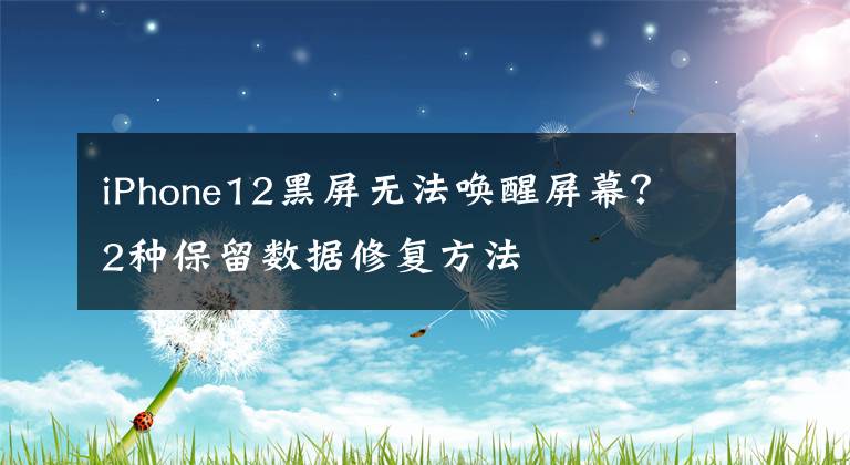 iPhone12黑屏無法喚醒屏幕？2種保留數(shù)據(jù)修復(fù)方法