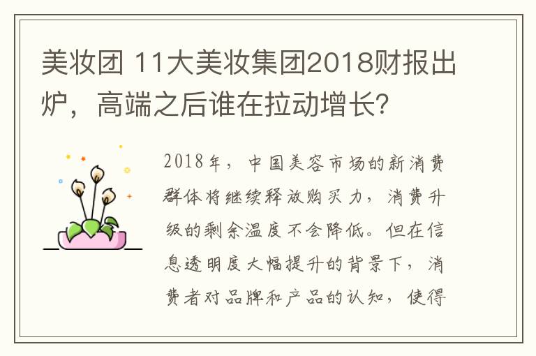 美妝團(tuán) 11大美妝集團(tuán)2018財(cái)報(bào)出爐，高端之后誰(shuí)在拉動(dòng)增長(zhǎng)？