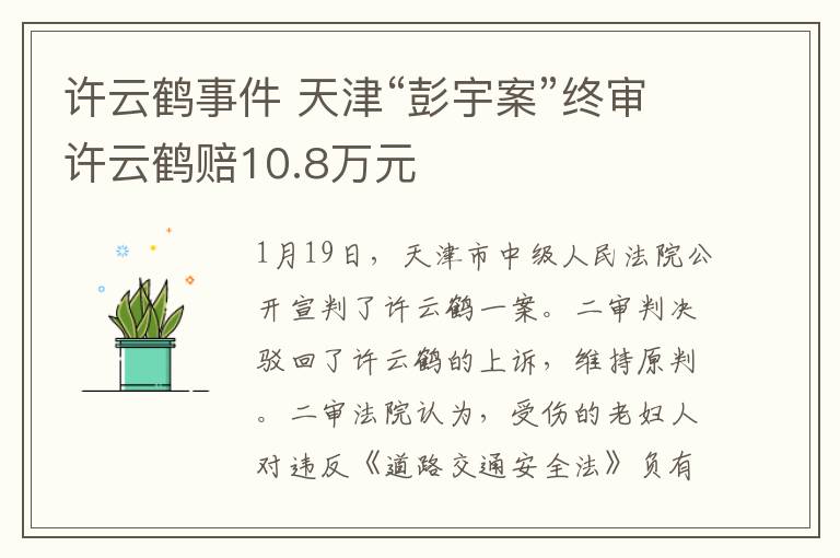 許云鶴事件 天津“彭宇案”終審許云鶴賠10.8萬元