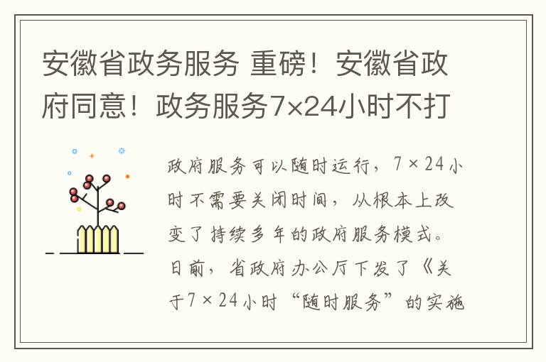 安徽省政務(wù)服務(wù) 重磅！安徽省政府同意！政務(wù)服務(wù)7×24小時不打烊“隨時辦”！