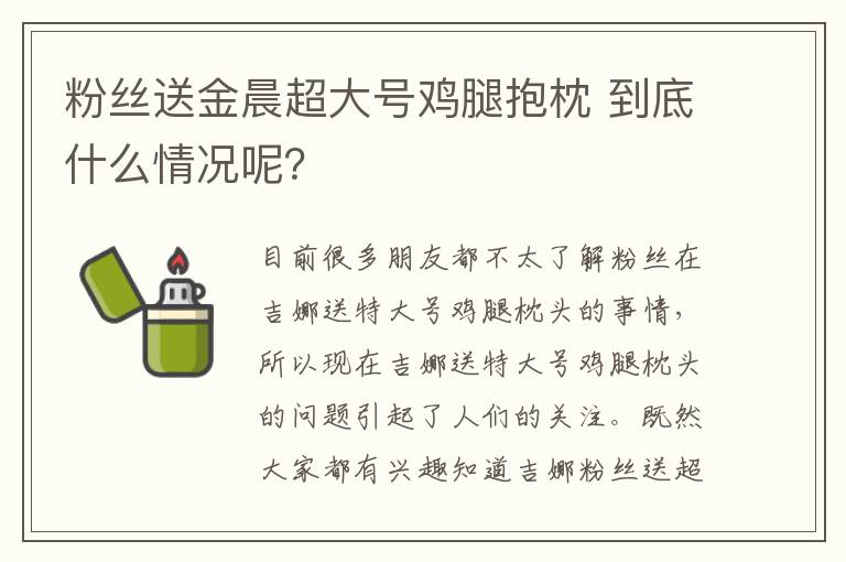 粉絲送金晨超大號雞腿抱枕 到底什么情況呢？