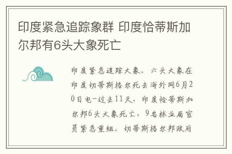 印度緊急追蹤象群 印度恰蒂斯加爾邦有6頭大象死亡