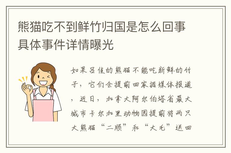 熊貓吃不到鮮竹歸國是怎么回事具體事件詳情曝光