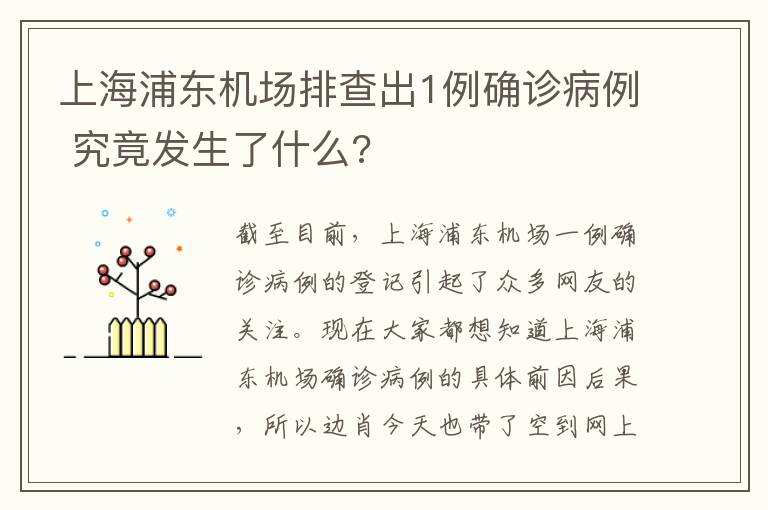 上海浦東機場排查出1例確診病例 究竟發(fā)生了什么?