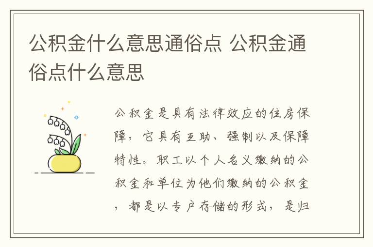 公積金什么意思通俗點(diǎn) 公積金通俗點(diǎn)什么意思