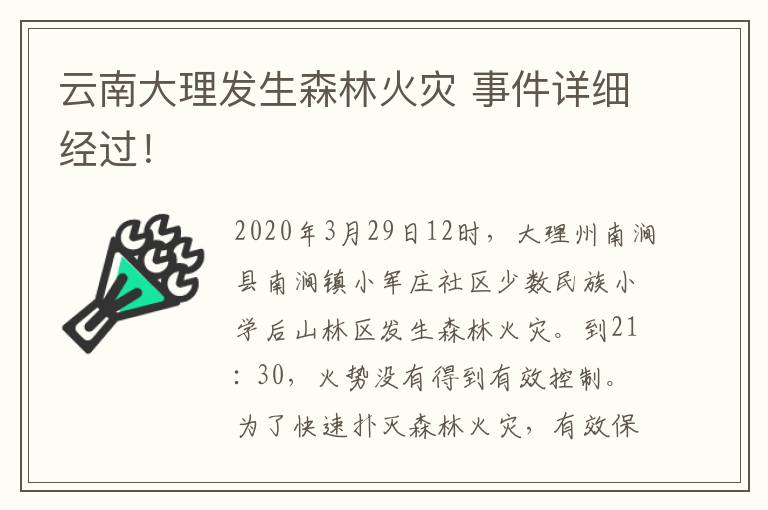 云南大理發(fā)生森林火災(zāi) 事件詳細(xì)經(jīng)過！