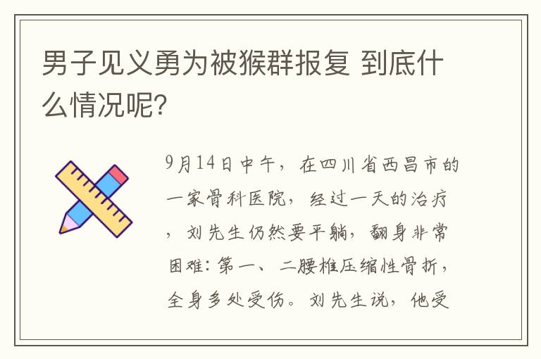 男子見義勇為被猴群報(bào)復(fù) 到底什么情況呢？