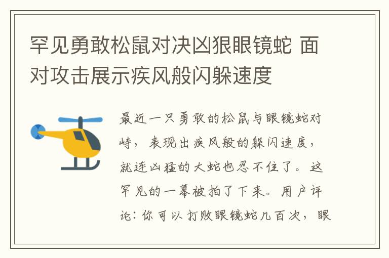 罕見勇敢松鼠對決兇狠眼鏡蛇 面對攻擊展示疾風(fēng)般閃躲速度