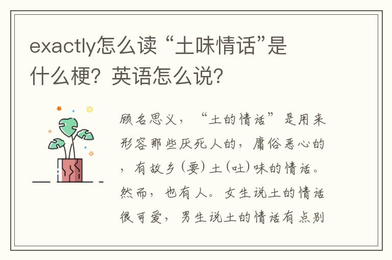 exactly怎么讀 “土味情話”是什么梗？英語怎么說？