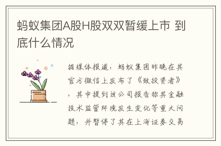 螞蟻集團(tuán)A股H股雙雙暫緩上市 到底什么情況