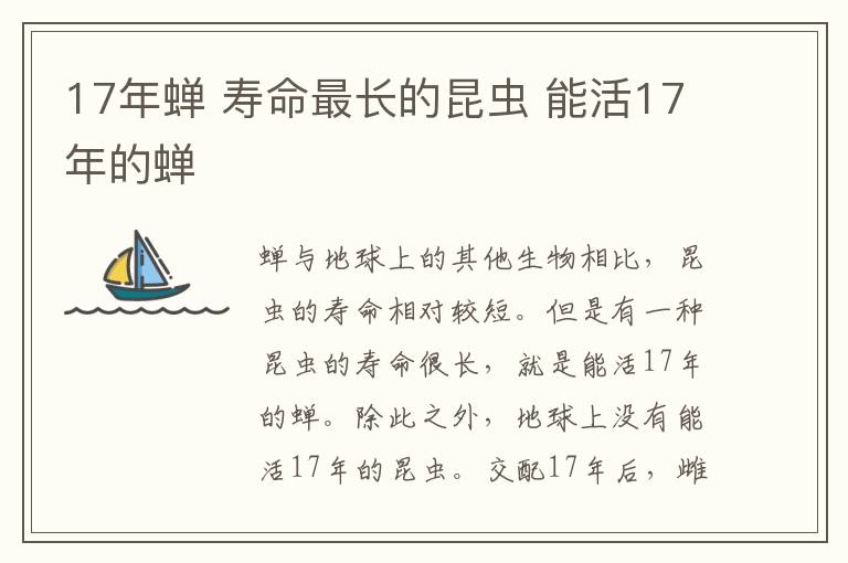 17年蟬 壽命最長的昆蟲 能活17年的蟬