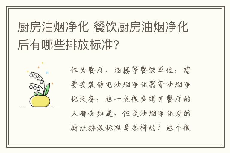 廚房油煙凈化 餐飲廚房油煙凈化后有哪些排放標(biāo)準(zhǔn)？