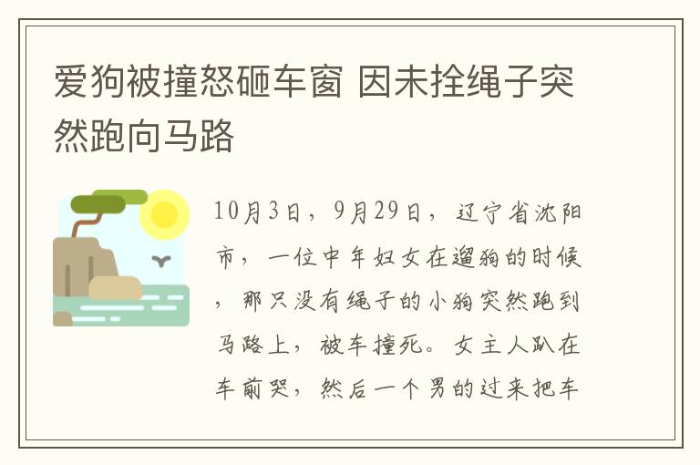 愛狗被撞怒砸車窗 因未拴繩子突然跑向馬路