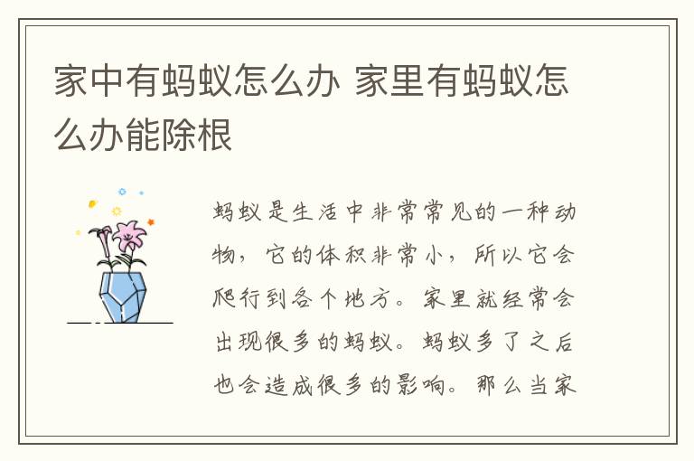 家中有螞蟻怎么辦 家里有螞蟻怎么辦能除根