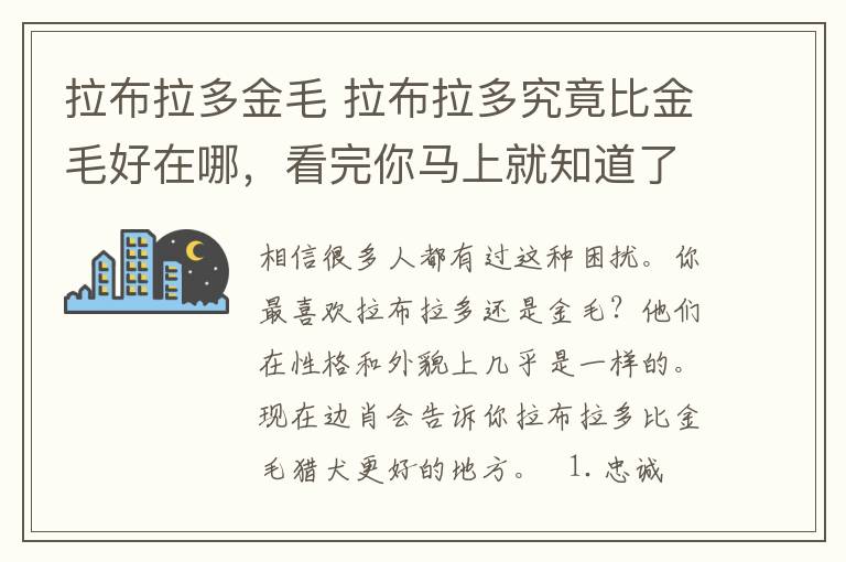 拉布拉多金毛 拉布拉多究竟比金毛好在哪，看完你馬上就知道了！