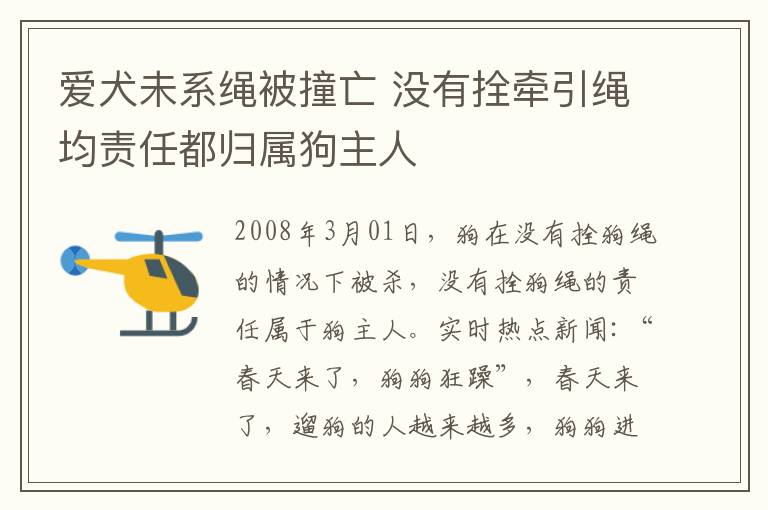 愛犬未系繩被撞亡 沒有拴牽引繩均責(zé)任都?xì)w屬狗主人