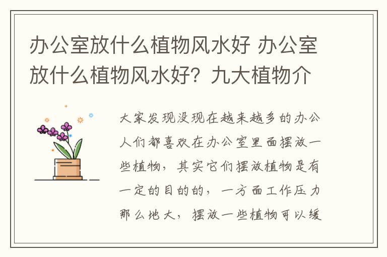 辦公室放什么植物風(fēng)水好 辦公室放什么植物風(fēng)水好？九大植物介紹