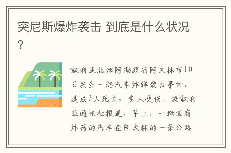 突尼斯爆炸襲擊 到底是什么狀況？