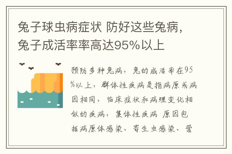 兔子球蟲病癥狀 防好這些兔病，兔子成活率率高達95％以上