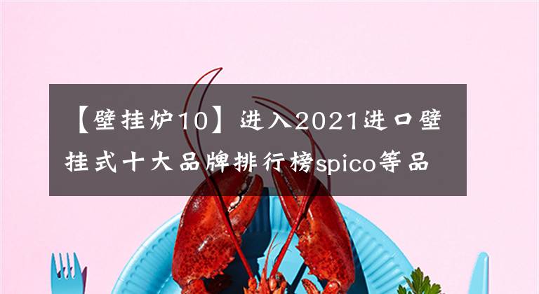 【壁掛爐10】進(jìn)入2021進(jìn)口壁掛式十大品牌排行榜spico等品牌決賽