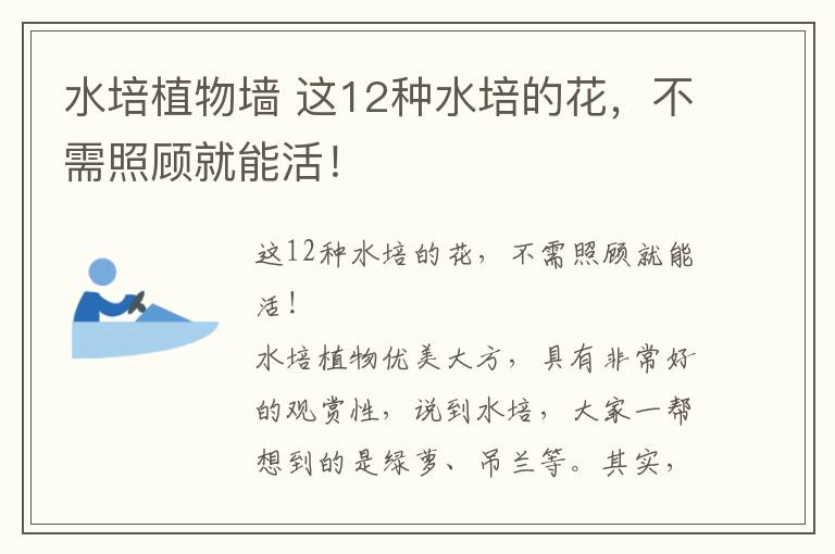 水培植物墻 這12種水培的花，不需照顧就能活！