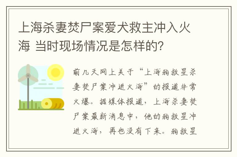 上海殺妻焚尸案愛犬救主沖入火海 當(dāng)時現(xiàn)場情況是怎樣的？